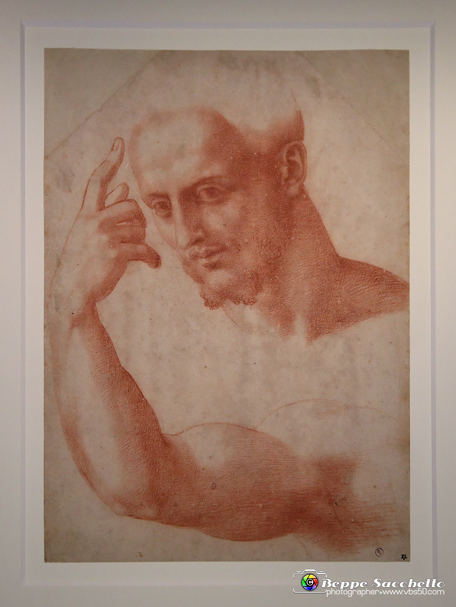VBS_0036 - Mostra Nel segno di Raffaello.jpg